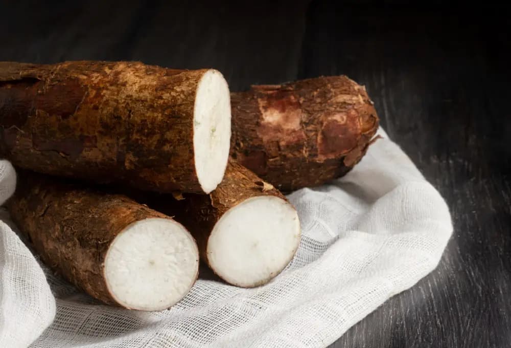 Cassava