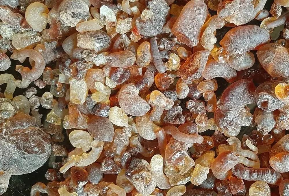 Gum Arabic