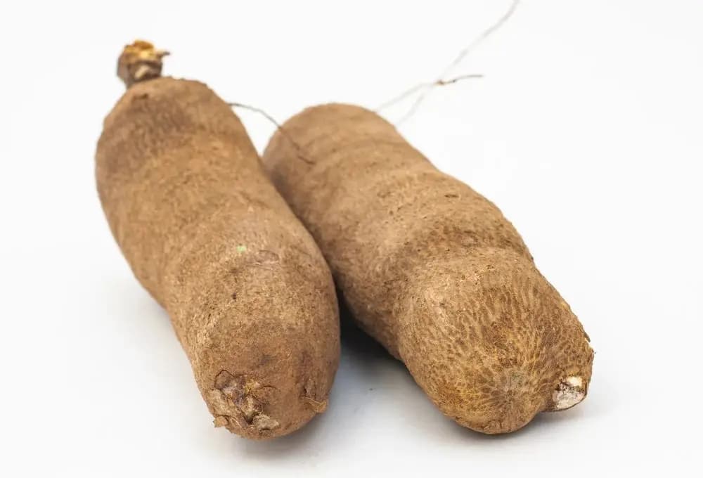 Yam